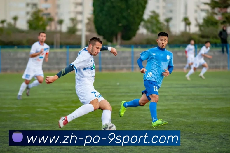 九游体育官方网站平台生态图