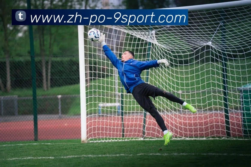 九游体育官方网站APP 封面图